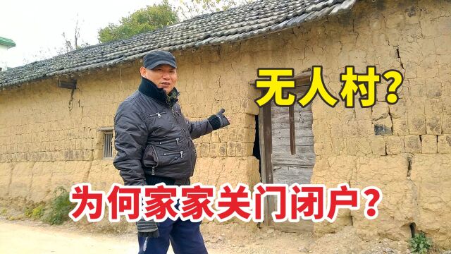 实拍安徽农村,2公里长村道,家家关门闭户,等待它的是什么?