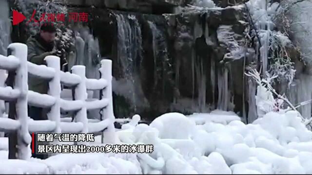 太美了!河南云台山雪后绝美雾凇景观