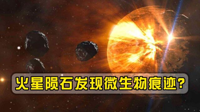 火星陨石发现微生物痕迹?火星生命被证实,人类移民把握增高!