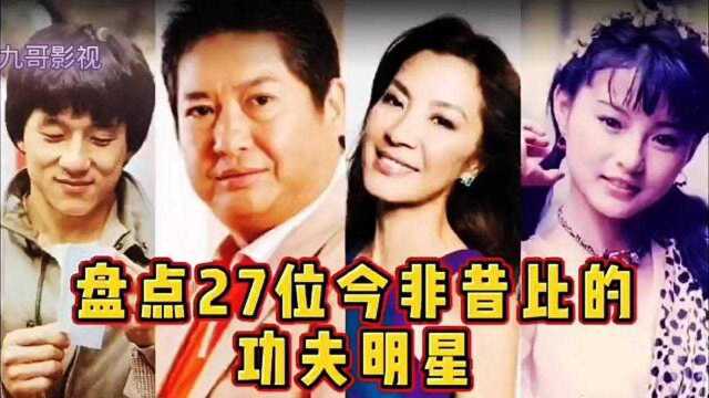 盘点27位今非昔比的功夫明星