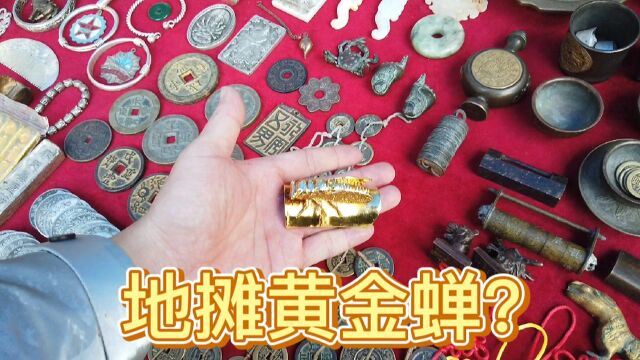 古玩地摊上面有金蝉?我去现场告诉你,它到底是什么东西