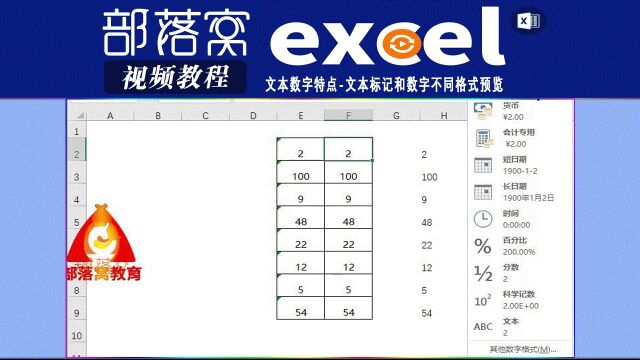 excel文本数字特点视频:文本标记和数字不同格式预览