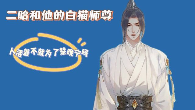 二哈和的白猫师尊:为什么说楚晚宁是这个世界上最好的师尊