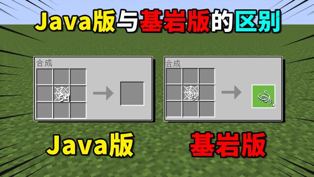 我的世界:你知道吗?Java版和基岩版的Jeb羊其实不一样!