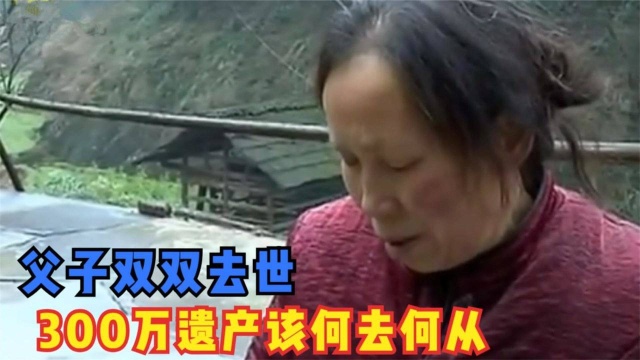 父子突发意外离世,留下300万巨额遗产,家人却不知该如何分配