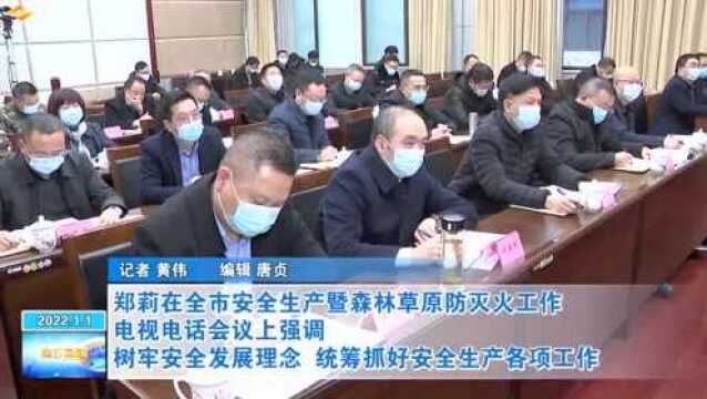 郑莉在全市安全生产暨森林草原防灭火工作电视电话会议上强调 树牢安全发展理念 统筹抓好安全生产各项工作