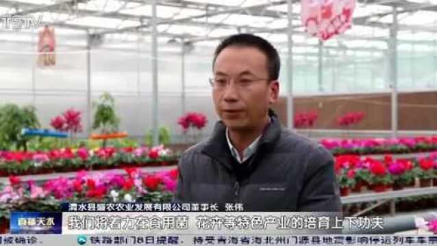 天水:发展高效设施农业 为乡村振兴赋能