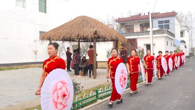 《午间看点》栏目报道江苏省电视台播出——邳州市岔河镇桥北村