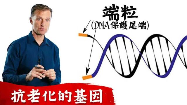 端粒是什麽?抗衰老的基因,柏格医生 Dr Berg