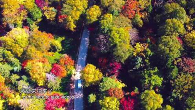 文旅百家,我在吉林(第十六集)付明泽:“航拍白山”念家乡