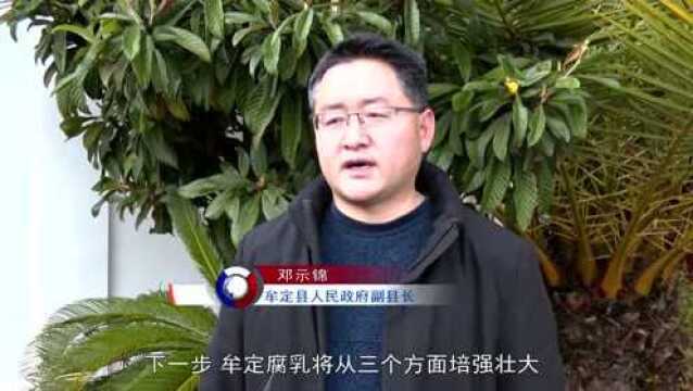 新春走基层ⷥ–œ迎二十大看楚雄 ——双柏县、牟定县