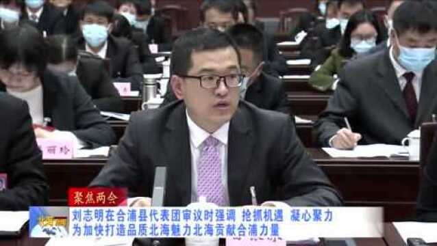 【聚焦两会】刘志明在合浦县代表团审议时强调:抢抓机遇 凝心聚力 为加快打造品质北海魅力北海贡献合浦力量