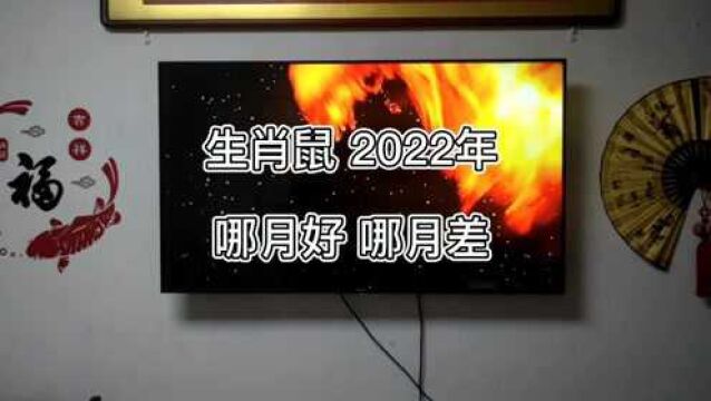 生肖鼠,2022年那月富贵,那月需要防范,易云道说生肖运势,真准