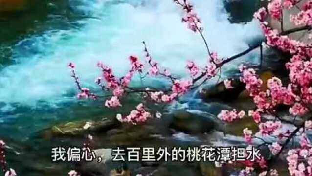 废柴文学杯诗歌大赛获奖名单(完全版)