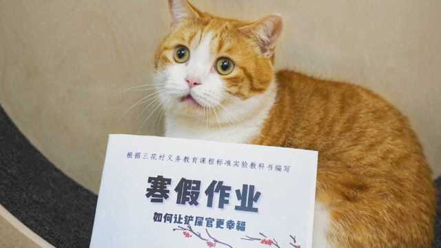 小猫咪还有寒假作业?!2021年终总结&读评论特辑