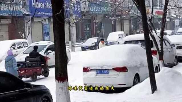 龙山镇全城撒盐清雪