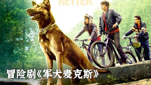 高智商军犬为死去的主人复仇《军犬麦克斯》