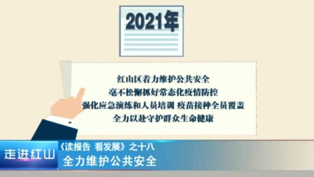 《读报告 看发展》之十八:全力维护公共安全