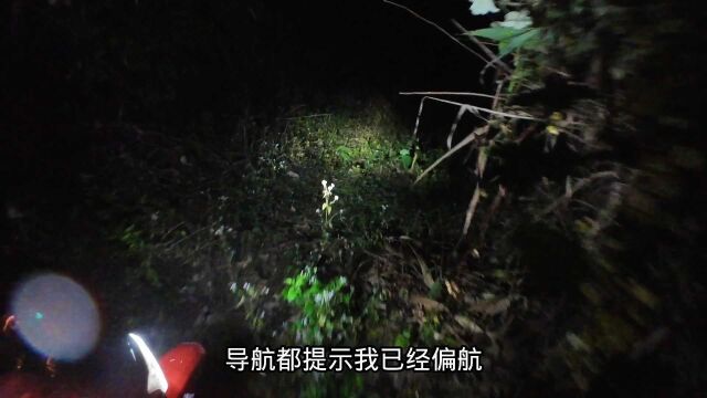 浪尽欢晚上荒山野岭找露营地进了一条小路,越走越害怕