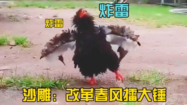 【搞笑配音】沙雕:炸雷炸雷,改革春风擂大锤!