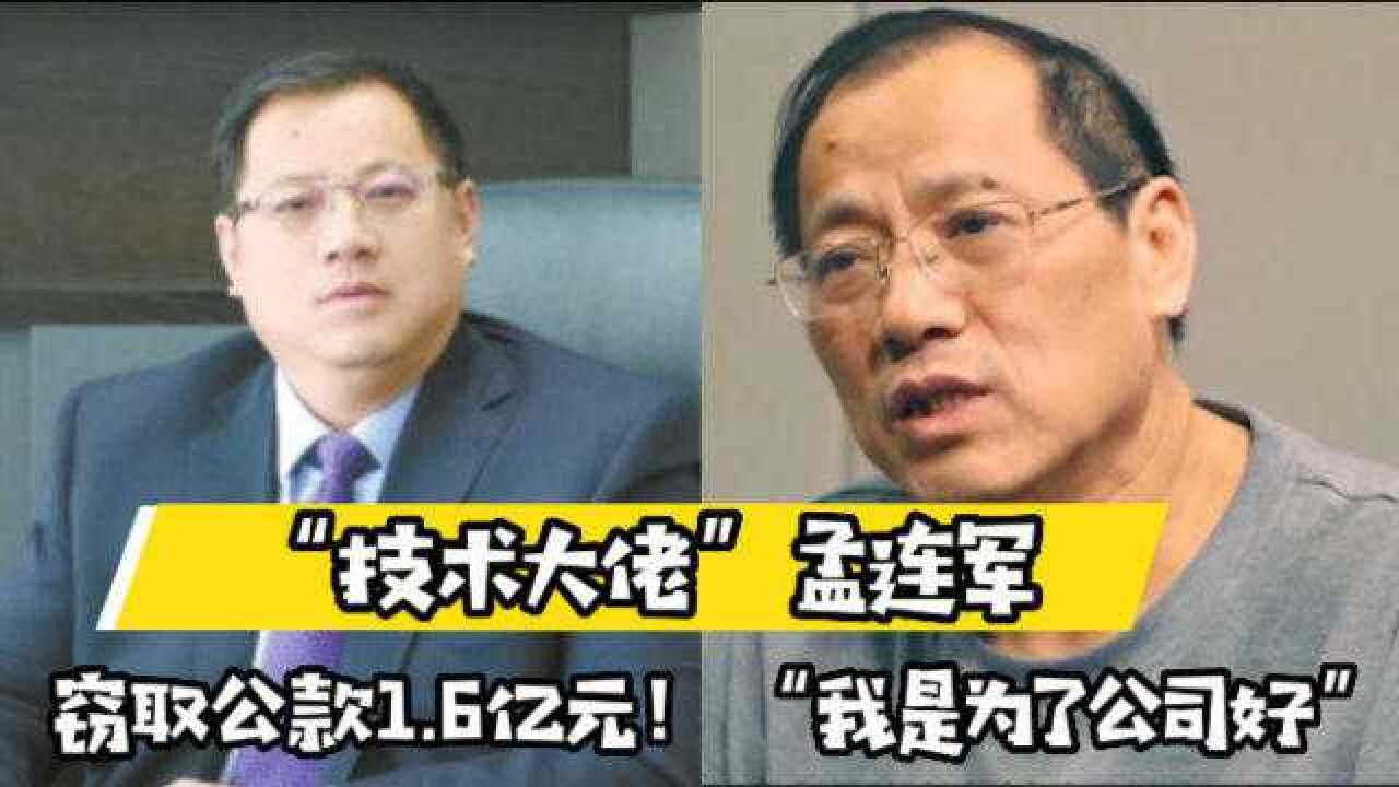 “技术大佬”孟连军大胆创新，贪污公款1.6亿元，称：我都是为了公司_高清1080P在线观看平台_腾讯视频