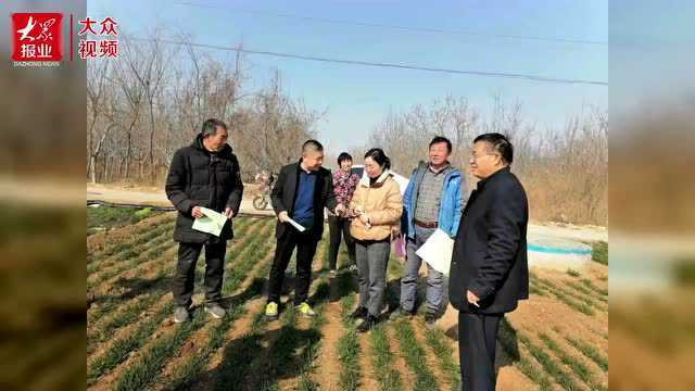 ︱东平县东平街道:当好“三大员” 吹响小麦春季管理“集结号”