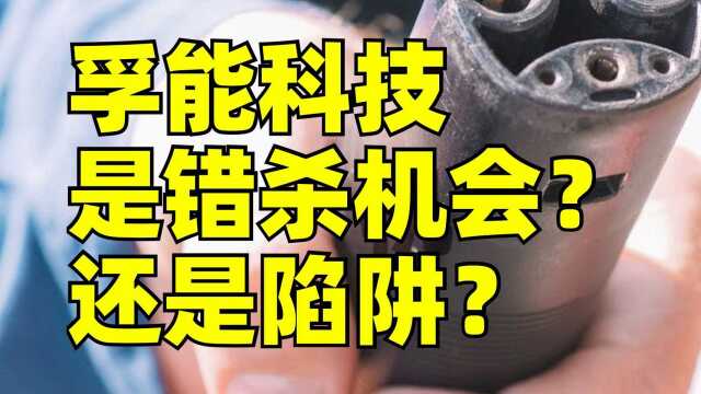 下一个宁德时代?贵为软包电池龙头孚能科技,市值竟然才200多亿