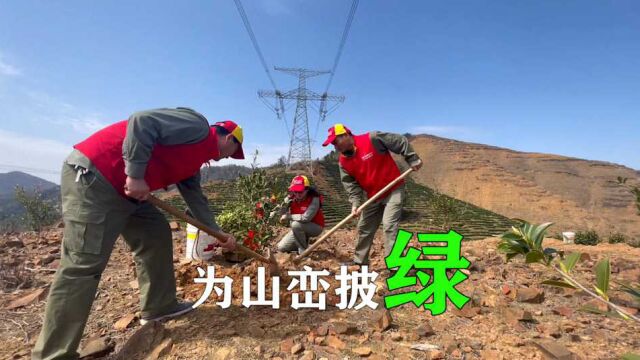 黄石供电:为山川披绿 为大地添色