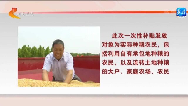 河北省拨付2022年中央财政实际种粮农民一次性补贴11.06亿元