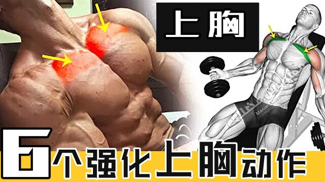 6个训练打造完美上胸,让胸肌更饱满突出