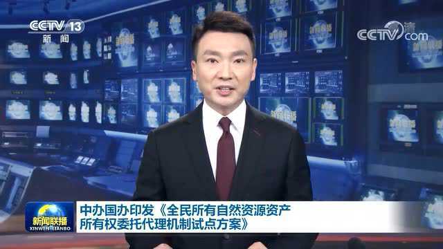 中办国办印发《全民所有自然资源资产所有权委托代理机制试点方案》