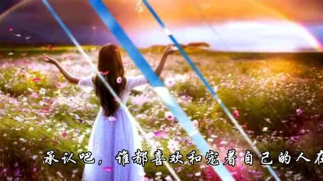 烟雨红尘,愿得一人