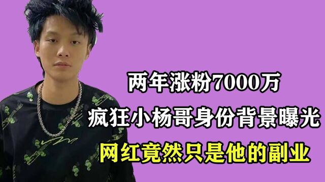 两年涨粉7000万,疯狂小杨哥身份背景曝光,网红竟然只是他的副业