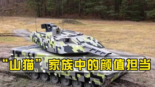 “山猫”家族中的颜值担当,高颜值“小坦克”,为何难打开销路?