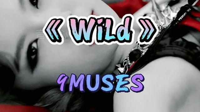 韩国女团9MUSESMV《Wild》