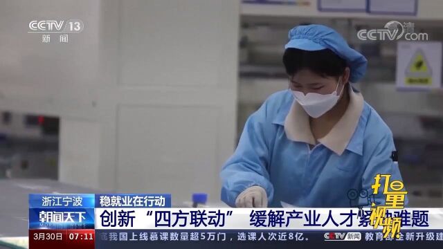 稳就业在行动!宁波创新“四方联动”,缓解产业人才紧缺难题