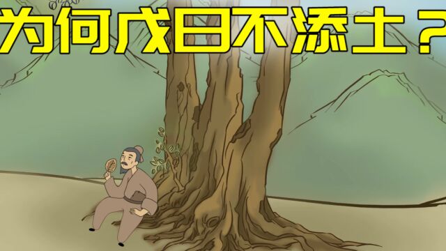  “清明逢戊子,上坟不填土”,戊子是什么时候?为何不填土