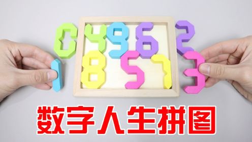 拼图Puzzle：数字人生，10个数字要如何完美放入框里？