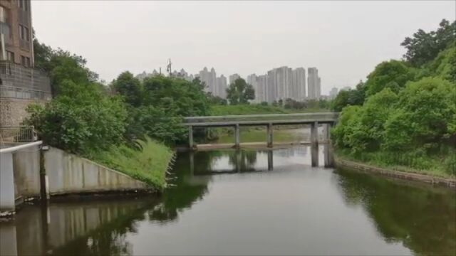 湖南株洲一泵站雨污混流水排湘江870万立方米 15名官员被问责