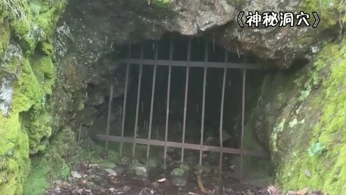 纪录片：探索深山神秘洞穴，会有什么意外发现呢？