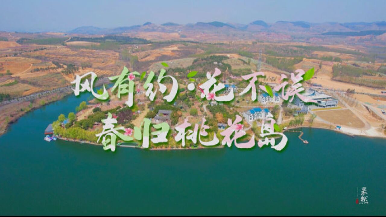 果然视频 | 风有约·花不误,春归汇泉桃花岛