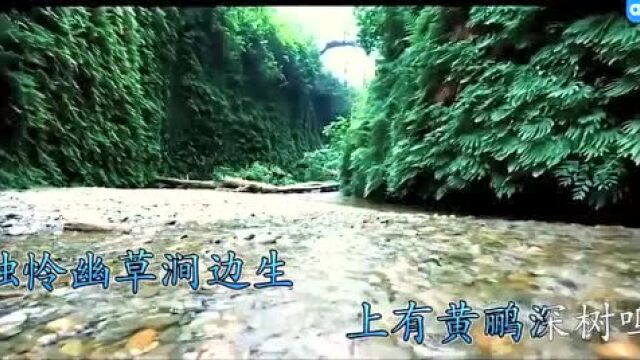 唐诗三百首第15首:《滁州西涧》韦应物