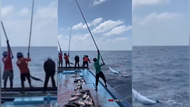 盘点生活中二十个被相机拍下的,日常用品工厂内部的流水线!