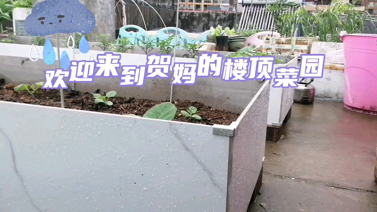 好多朋友留言说瓷砖菜池不留排水孔会不会积水?来看看具体情况