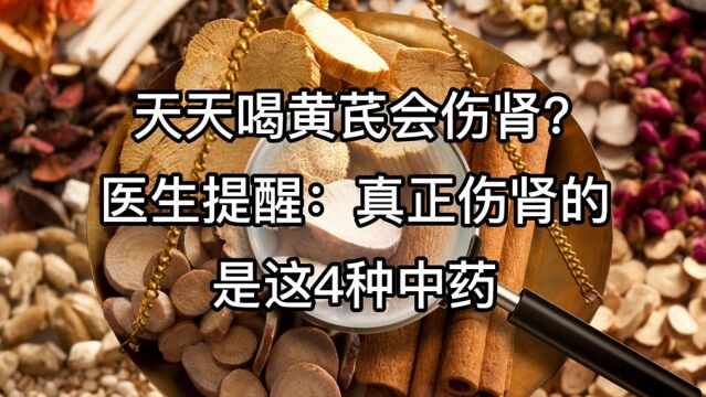 天天喝黄芪会伤肾?苏杰医生提醒:真正伤肾的是这4种中药