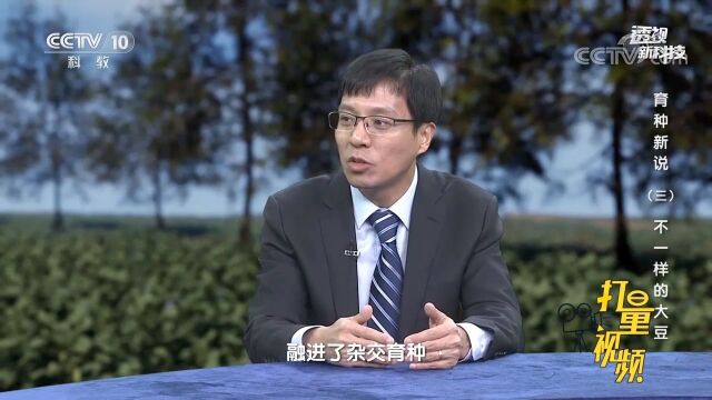 大豆经过设计育种后,安全性该如何保障?听专家咋说