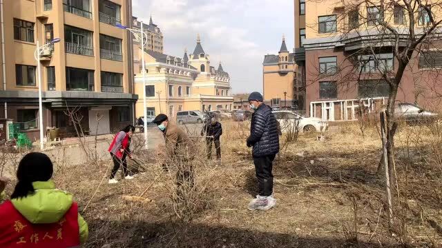 阜宁镇:纵深推进爱国卫生运动 积极推进美丽环境建设