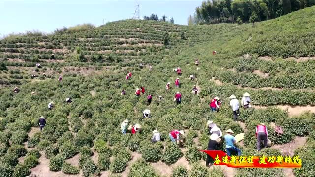 【奋进新征程ⷥ𛺥ŠŸ新时代】六安:按下复工复产“快进键”