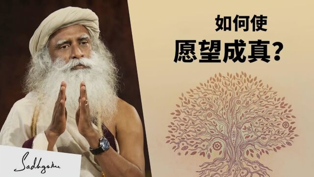 如何心想事成|Sadhguru|萨古鲁|李毅勤的秀|中文翻译配音|第507集|20220501