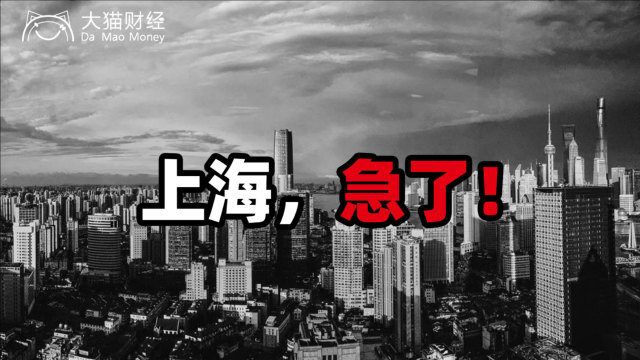 上海1854家“白名单”公司背后,到底藏了哪些关键信息?